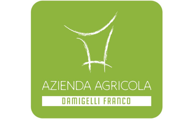 DAMIGELLI FRANCO
